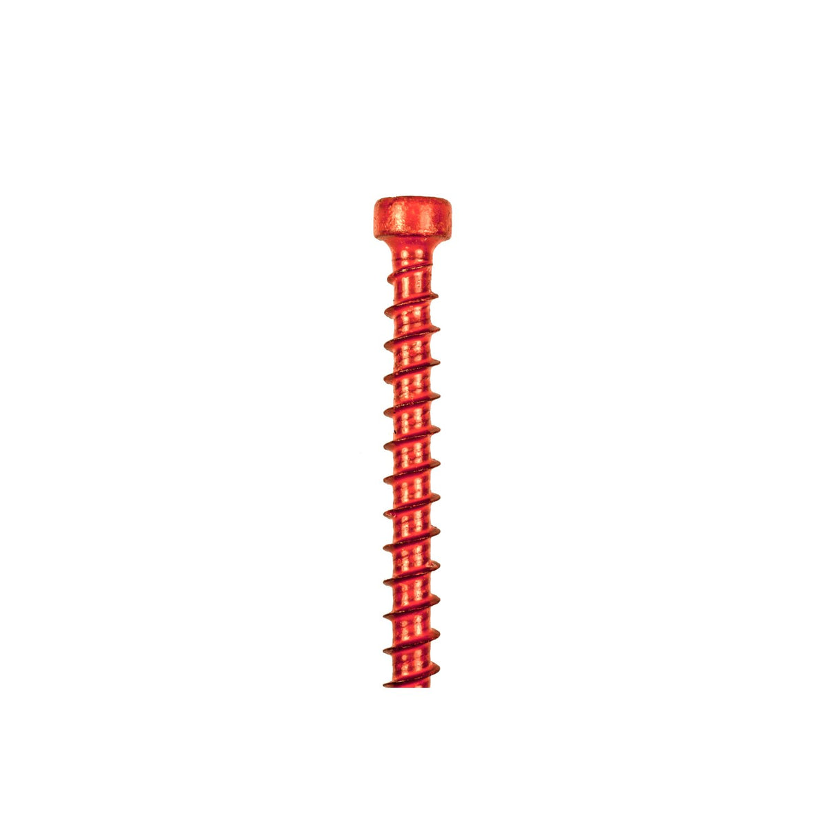 Simpson SDWC Truss Screw 0.155 x 6 in. T30 Cap Head Clear Zinc 50-Count SDWC15600-KT
