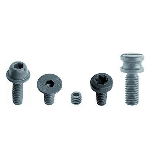 CMT 990.060.00 Screw for Bearing STEI Flat M2 x 2mm