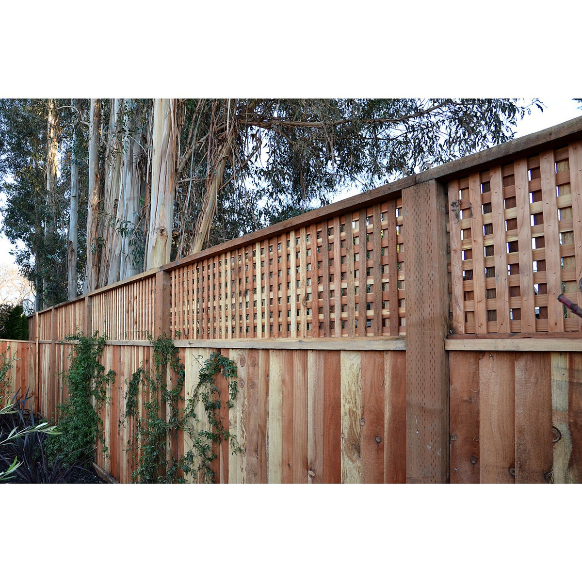 A wooden fence with a lattice top section and vertical posts, shown outdoors with trees and some greenery behind it.