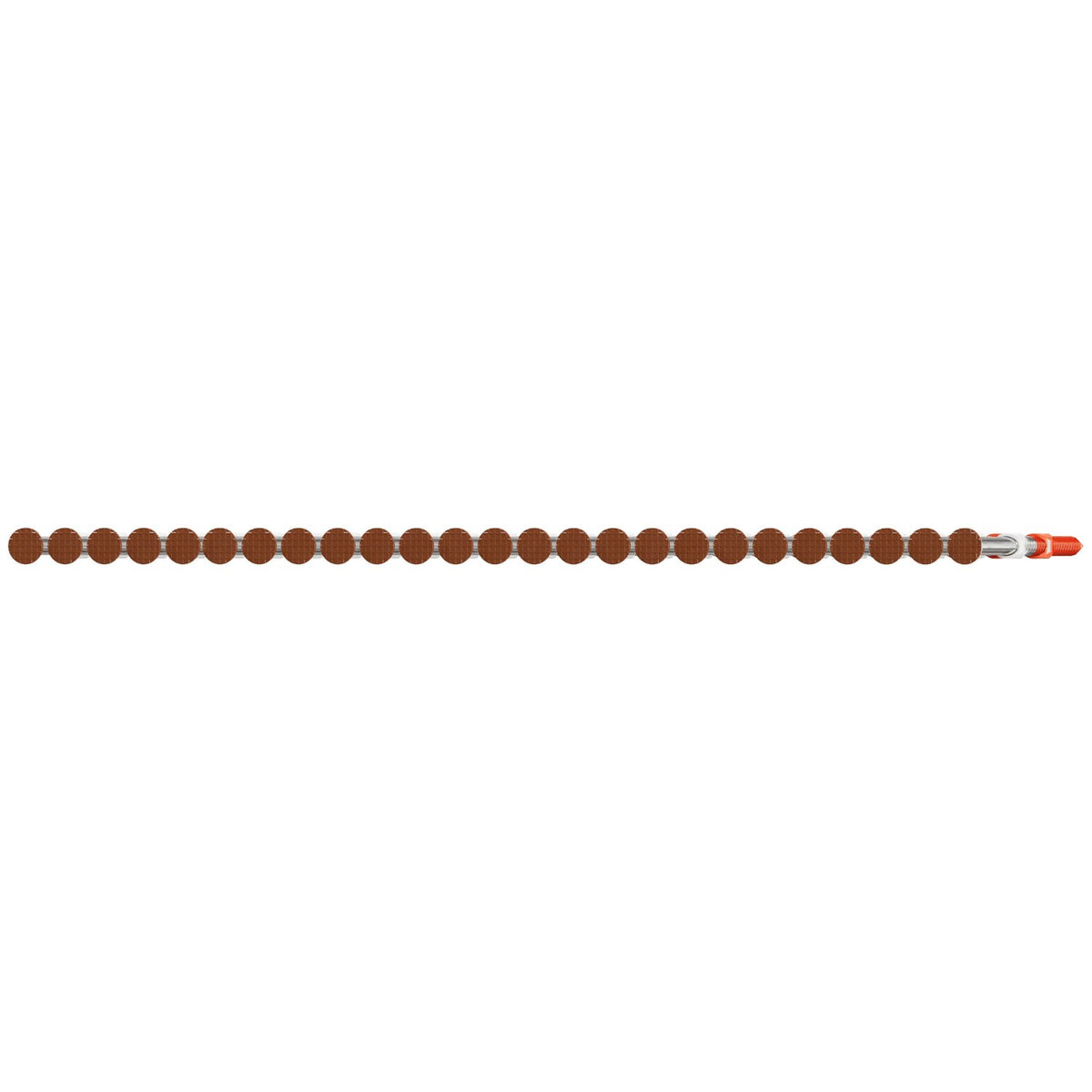 Simpson 3-1/4 in. Sienna Ring-Shank Casing Head Nail 20-22 deg. Plastic Strip 304 SS 1000-Pk