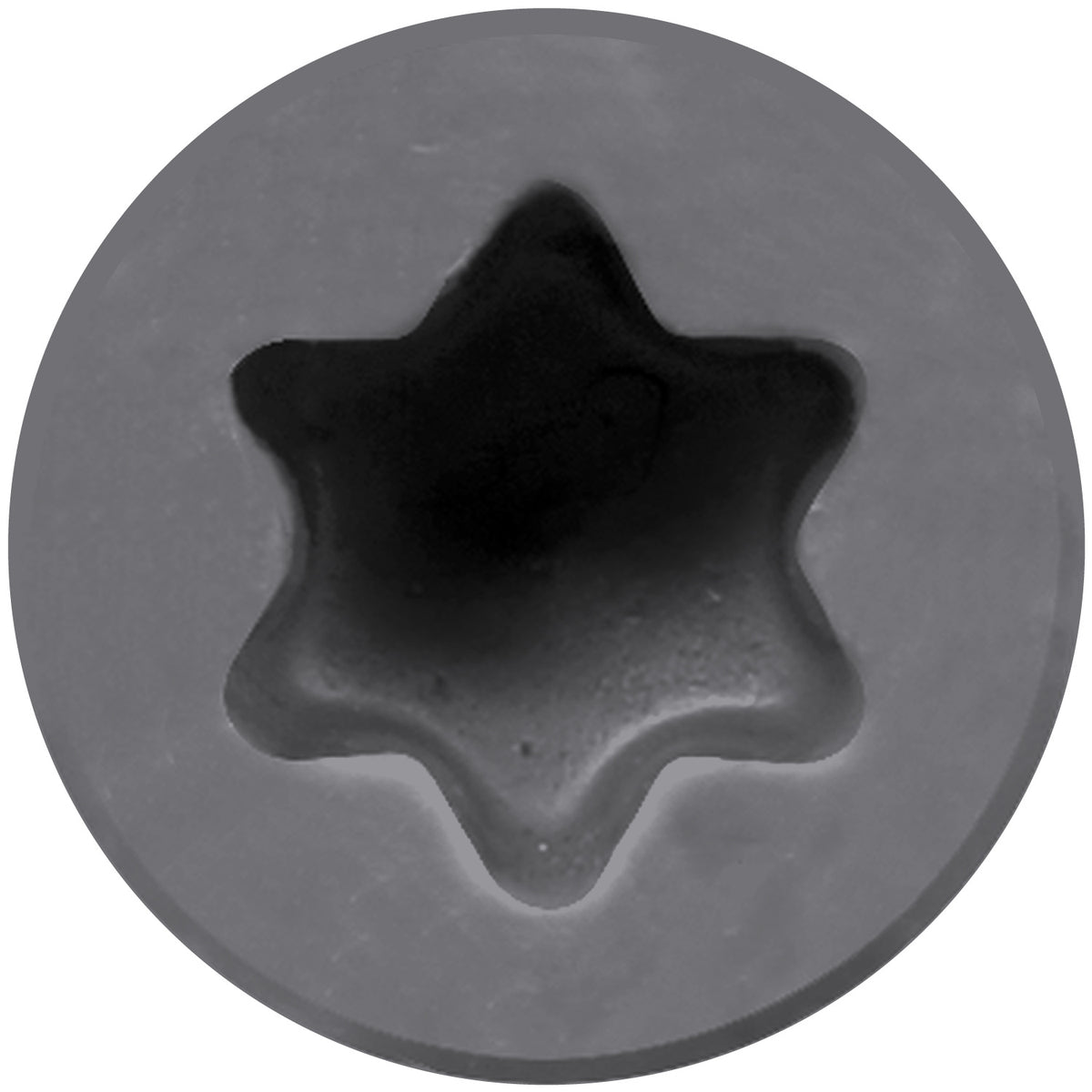 Simpson Gray 04, Trim-Head Screw, 6-Lobe Drive 305 Stainless Steel