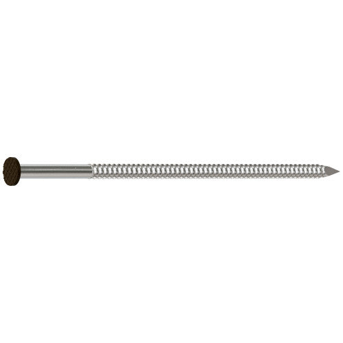 Simpson 10d x 3" Dark Brown Painted Siding Nail, 304 Stainless Steel