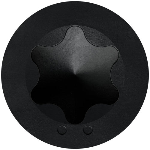 Simpson Black, Trim-Head Screw, 6-Lobe Drive 316 Stainless Steel