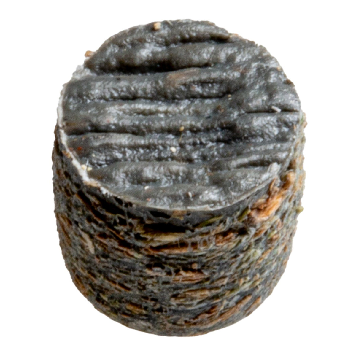 Simpson Deck-Drive DCU Screw Plug - Trex Island Mist (75-Qty)
