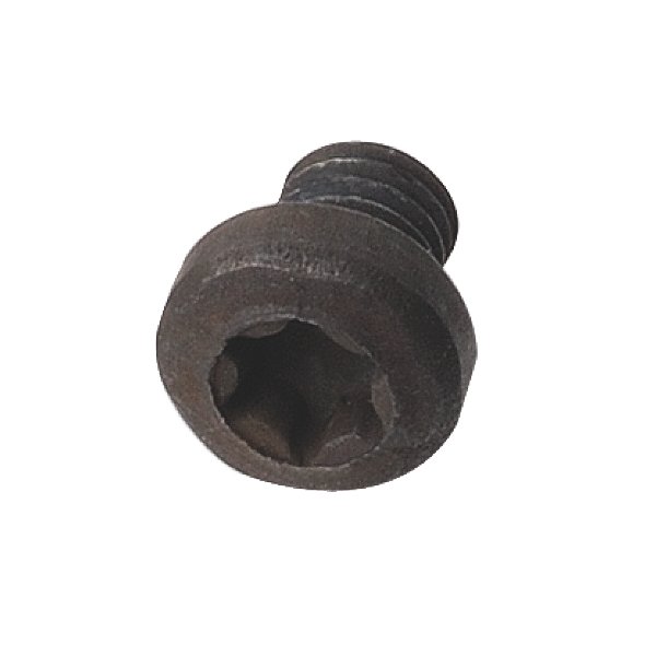 CMT 990.056.00 Screw for Bearing Torx T15 TBTI M4 x 4 x 6.2mm D=8.8mm